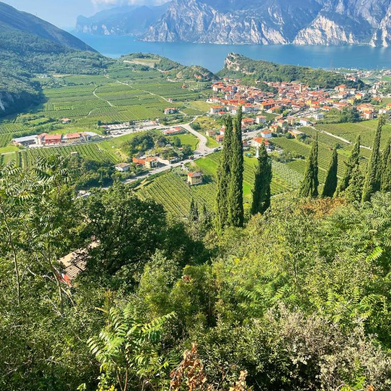 Appartamento Lucia - Appartamento con 3 Camere da Letto - 12