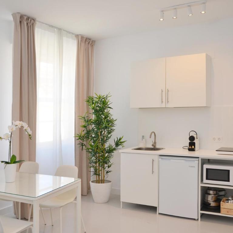 Canary Lofts Palace - Estudio Estándar - 18
