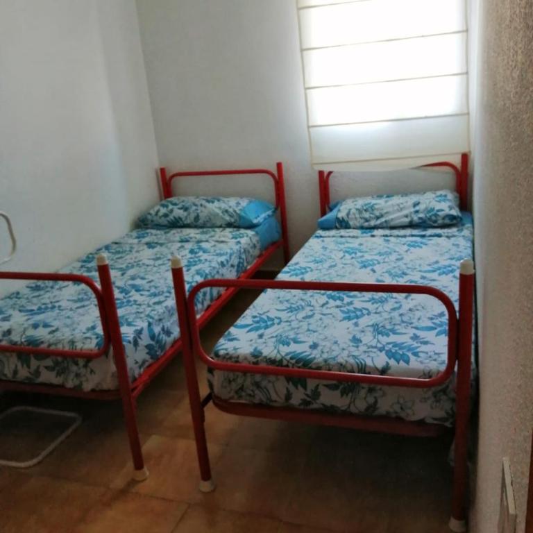 Coqueto apartamento - Apartamento de 2 dormitorios - 4