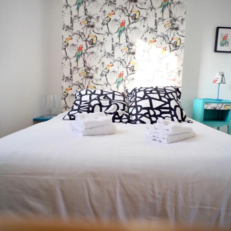 le Perroquet Fringant, rue piétonne et quartier historique - Appartement 1 Chambre - 17