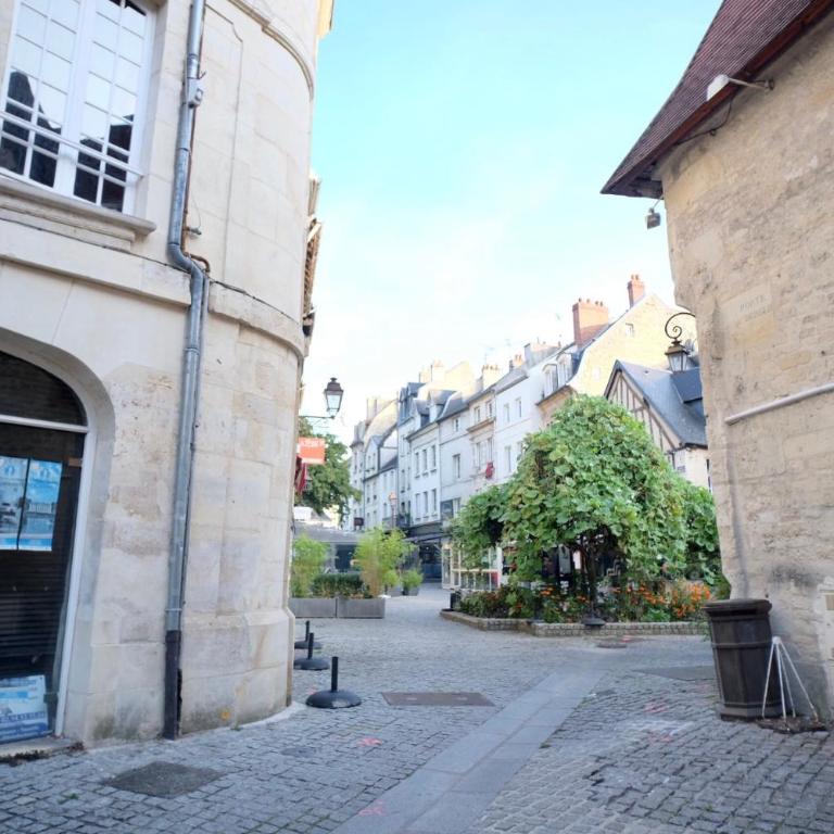le Perroquet Fringant, rue piétonne et quartier historique - Appartement 1 Chambre - 21