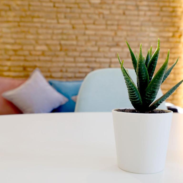 Victoria Suites Apartments - Apartamento con terraza - 15