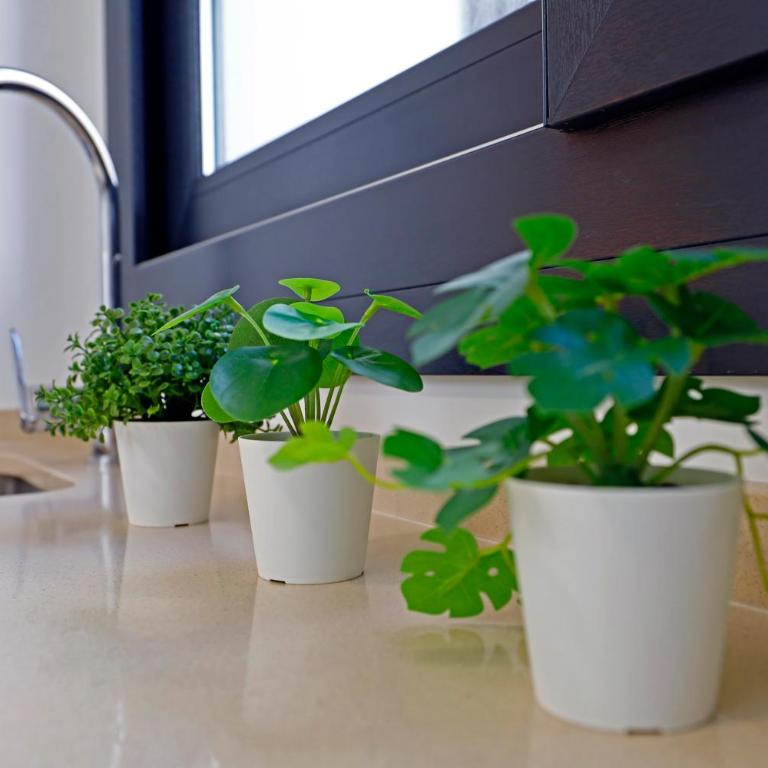 Victoria Suites Apartments - Apartamento con terraza - 22