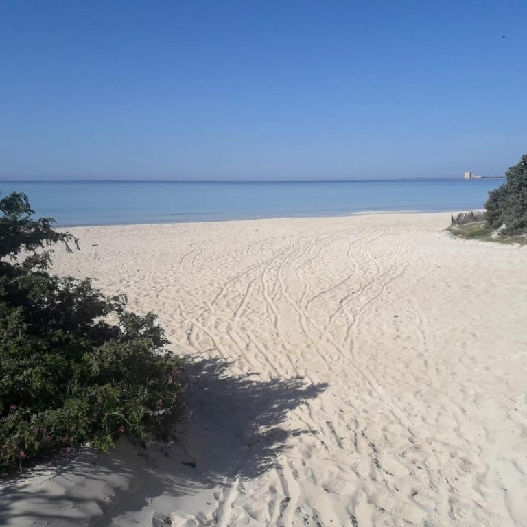 appartamento a 20 metri dalla spiaggia - Appartamento - 13