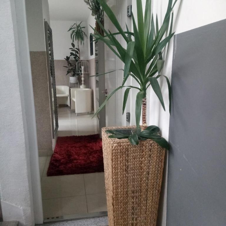 Apartment Top Centar - Apartman sa 2 Spavaće Sobe - 7