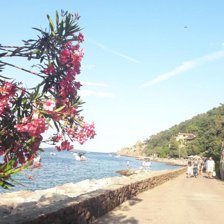 To seize Holiday rental La Maison De Noelie Rdj 300m River 800m Village - Casa Vacanze - 17