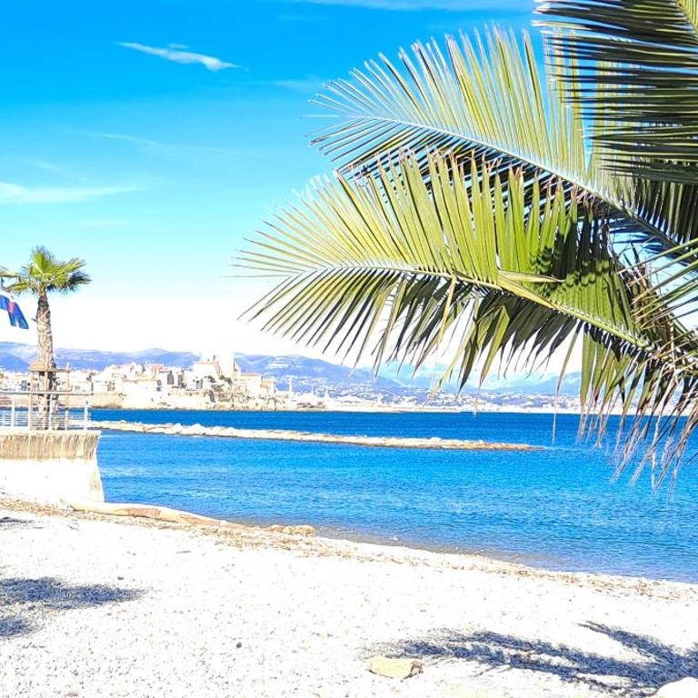 Registered Accomodation 4 stars and 30mn Nice Cannes Antibes - Maison de Vacances - 21