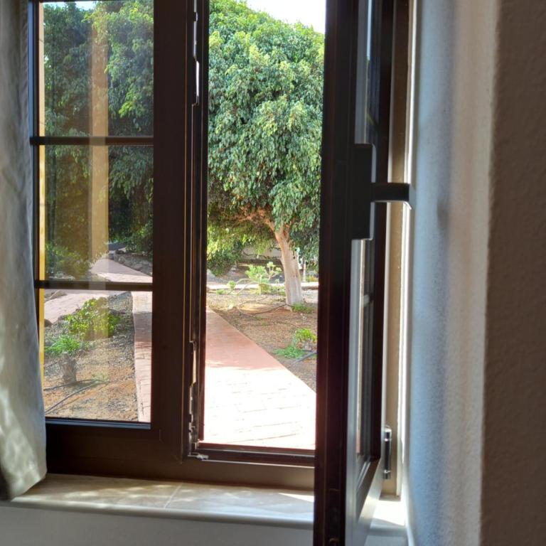 Caleta Holiday Bungalow - Vacation Home - 14