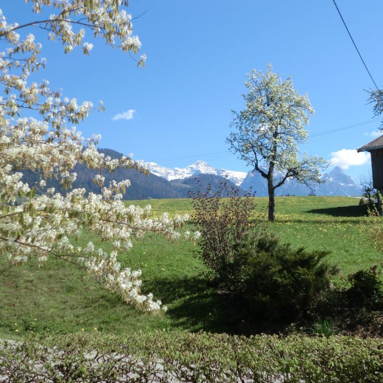 Vornbichlhof - Apartment Buchensteinwand (Keine Haustiere) - 6
