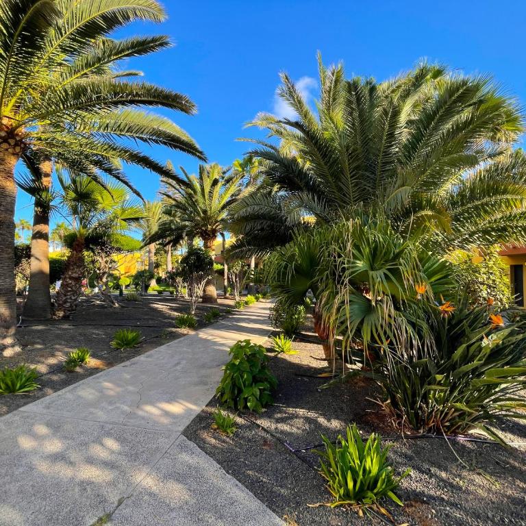 Atlantic Garden 238 by Best Holidays Fuerteventura - Apartamento de 1 dormitorio - 39
