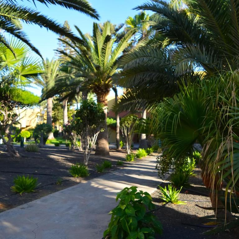 Atlantic Garden 238 by Best Holidays Fuerteventura - Apartamento de 1 dormitorio - 41