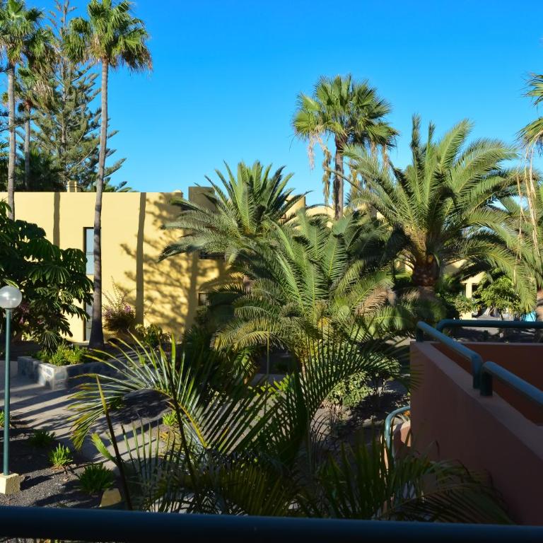 Atlantic Garden 238 by Best Holidays Fuerteventura - Apartamento de 1 dormitorio - 46