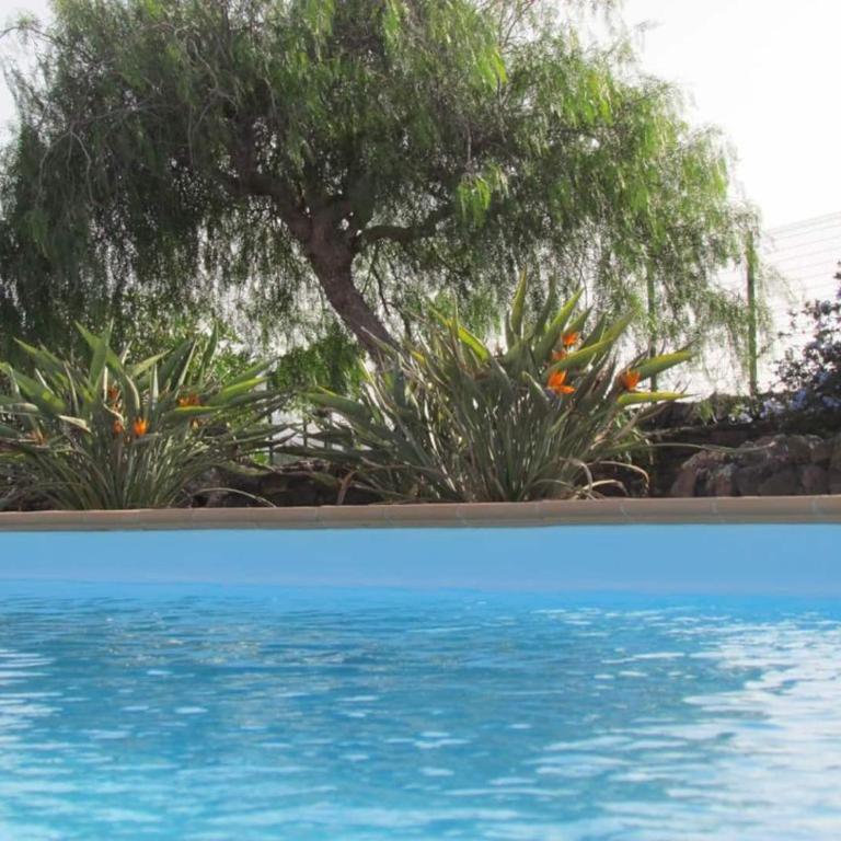 Wind Wave 28B - Heated & Shared pool - Casa de 2 dormitorios - 3