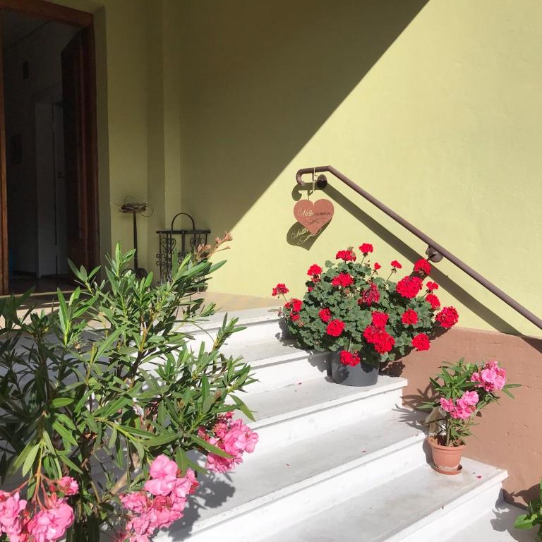 Haus Heincz - Apartment - Erdgeschoss - 5