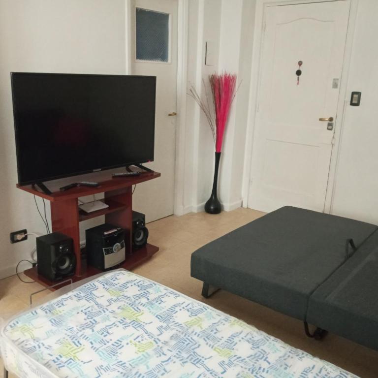 1 Ambiente PLENO CENTRO-1 cuadra CASINO-PEATONAL-Playa PUNTA IGLESIAS-POPULAR - Apartamento - 10