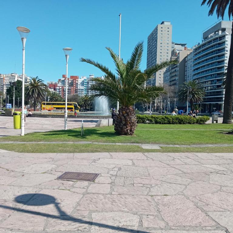 1 Ambiente PLENO CENTRO-1 cuadra CASINO-PEATONAL-Playa PUNTA IGLESIAS-POPULAR - Apartamento - 37