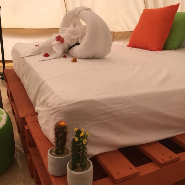 Glamping Due Amici - Tienda de campaña de lujo - 15