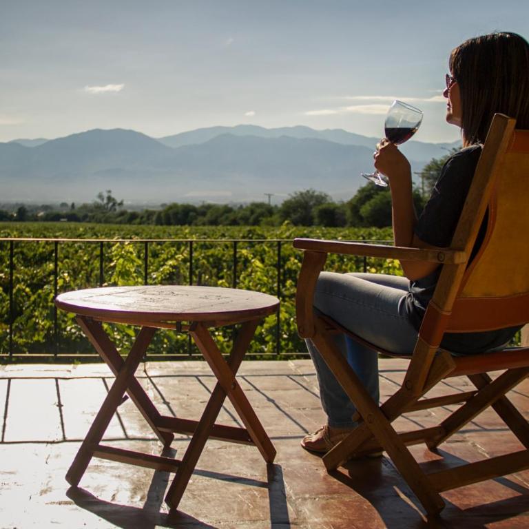 Viñas De Cafayate Wine Resort - Habitación Doble con vistas a los viñedos - 1 o 2 camas - 5