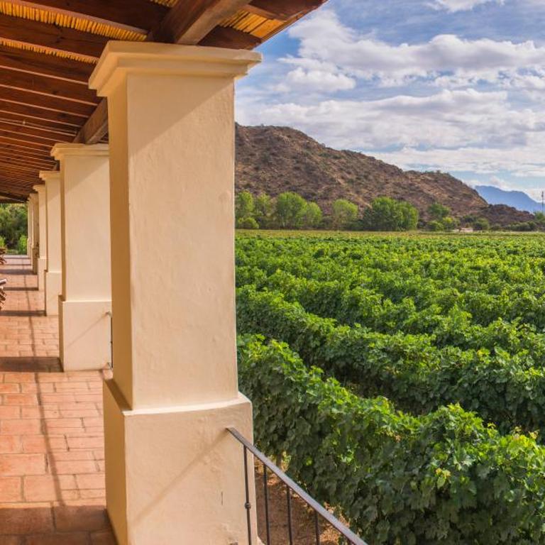 Viñas De Cafayate Wine Resort - Habitación Doble con vistas a los viñedos - 1 o 2 camas - 8