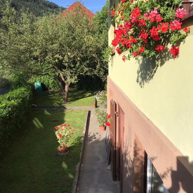 Haus Heincz - Apartment - Erdgeschoss - 15