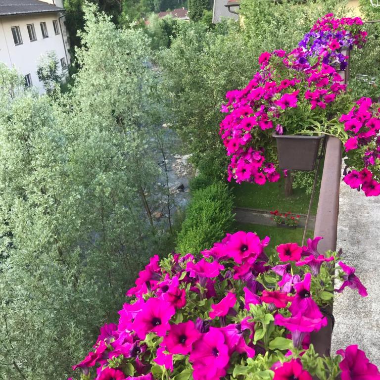 Haus Heincz - Apartment mit 3 Schlafzimmern - 31