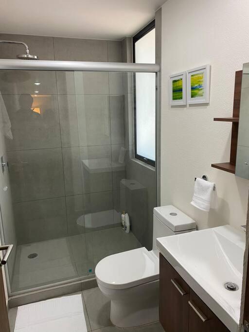 GRAN UBICACIÓN, en la zona de SANTA FE, KING BED - Apartamento - 23