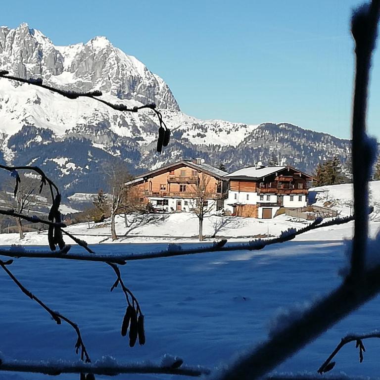 Hahnenkammblick - Apartment mit 3 Schlafzimmern - 29
