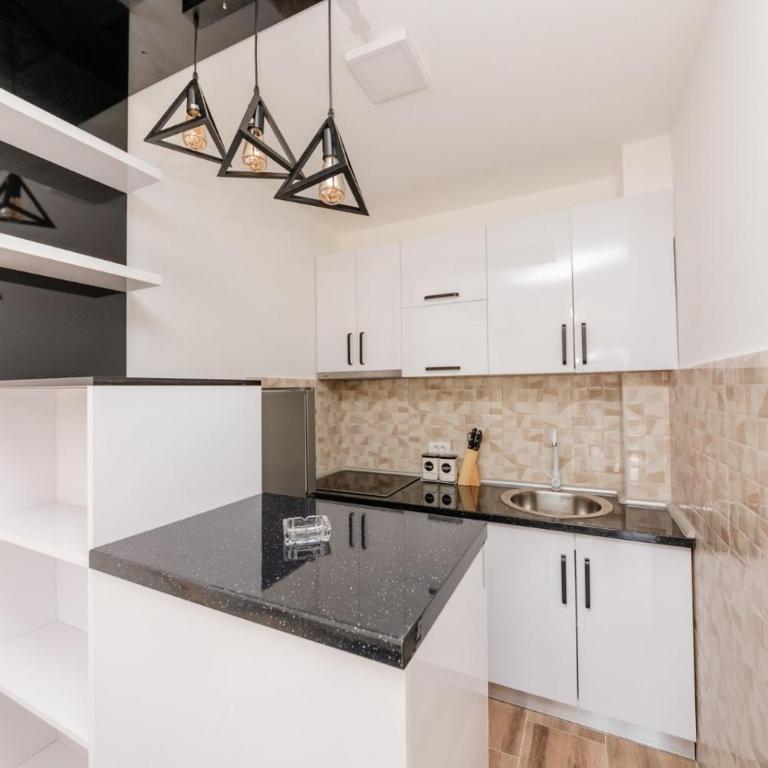 Apartman Jovana Banja Koviljaca - Apartman sa 1 Spavaćom Sobom - 2