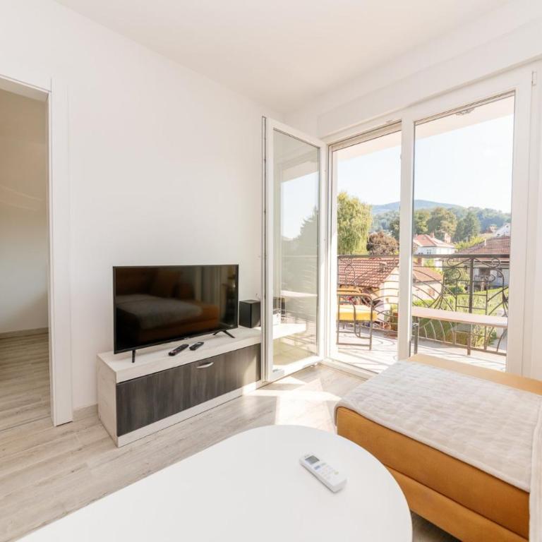 Apartman Jovana Banja Koviljaca - Apartman sa 1 Spavaćom Sobom - 3