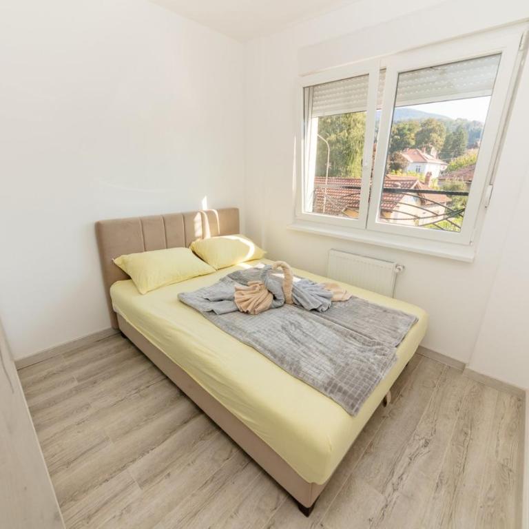 Apartman Jovana Banja Koviljaca - Apartman sa 1 Spavaćom Sobom - 16