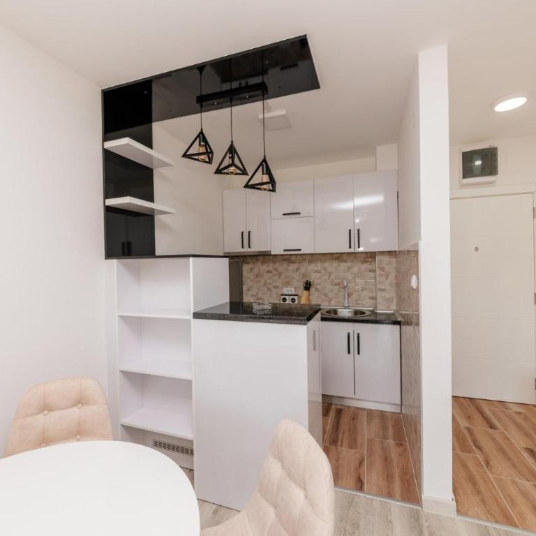 Apartman Jovana Banja Koviljaca - Apartman sa 1 Spavaćom Sobom - 17