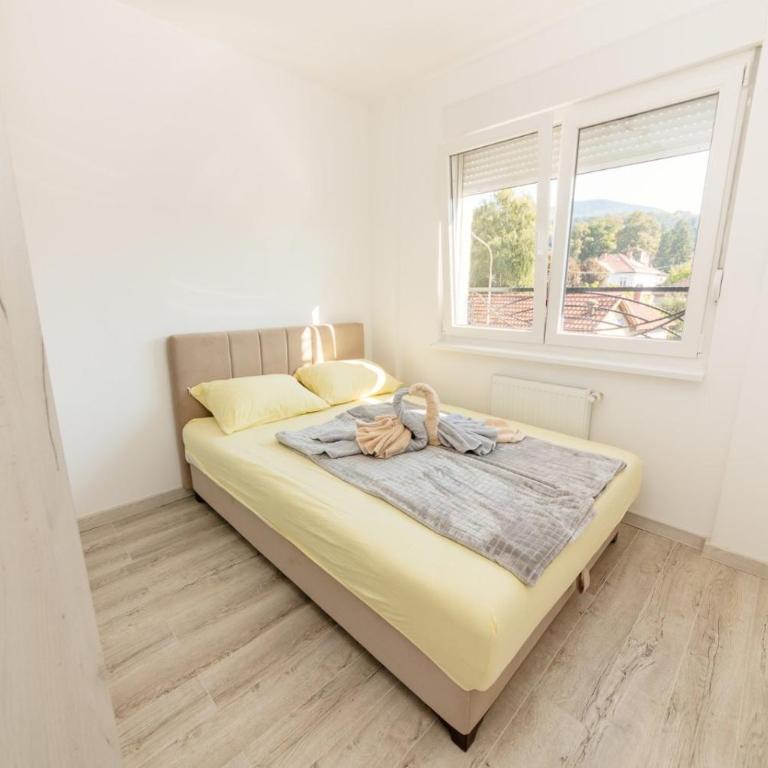 Apartman Jovana Banja Koviljaca - Apartman sa 1 Spavaćom Sobom - 20
