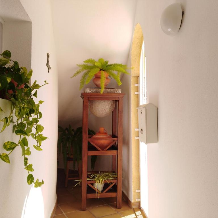 Apto. PIÑA DE MAR - Apartamento de 1 dormitorio - 29