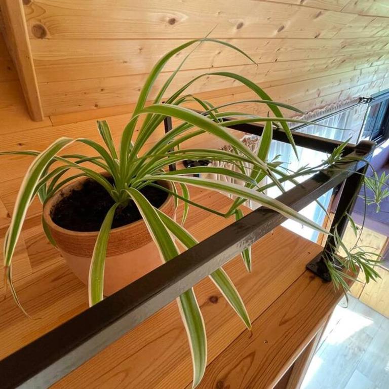 myinsolite - Tiny-house, jacuzzi, brasero, piscine - Chalet 1 Chambre - 34