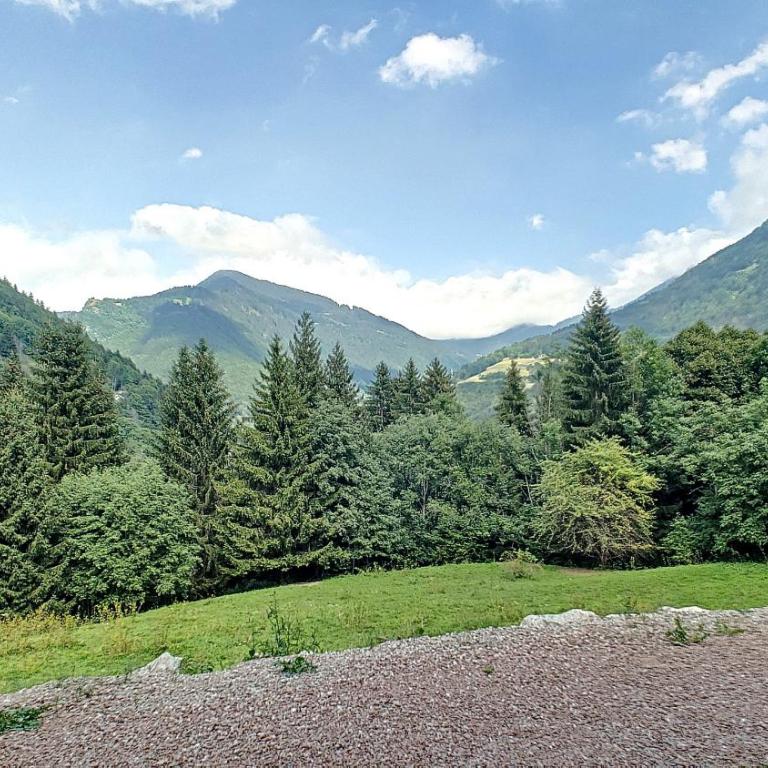 Joli APPARTEMENT DANS CHALET AVEC TERRASSE - SAINT JEAN D'AULPS - PROCHE MORZINE - 6 PERSONNES - LILOU - Appartement avec Terrasse - 3