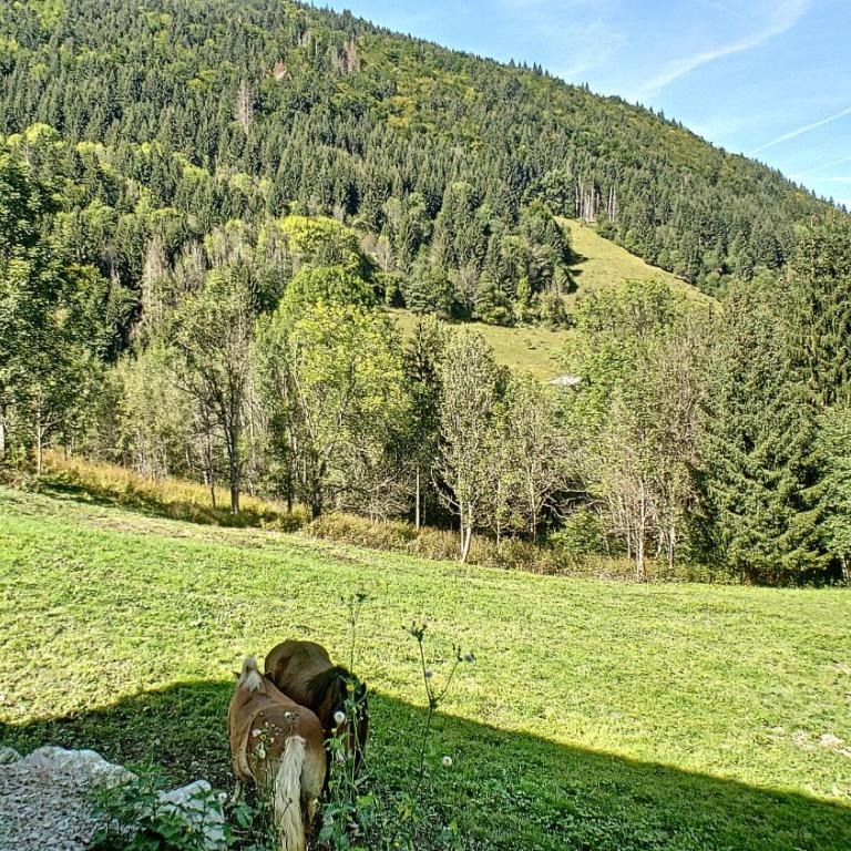 Joli APPARTEMENT DANS CHALET AVEC TERRASSE - SAINT JEAN D'AULPS - PROCHE MORZINE - 6 PERSONNES - LILOU - Appartement avec Terrasse - 18