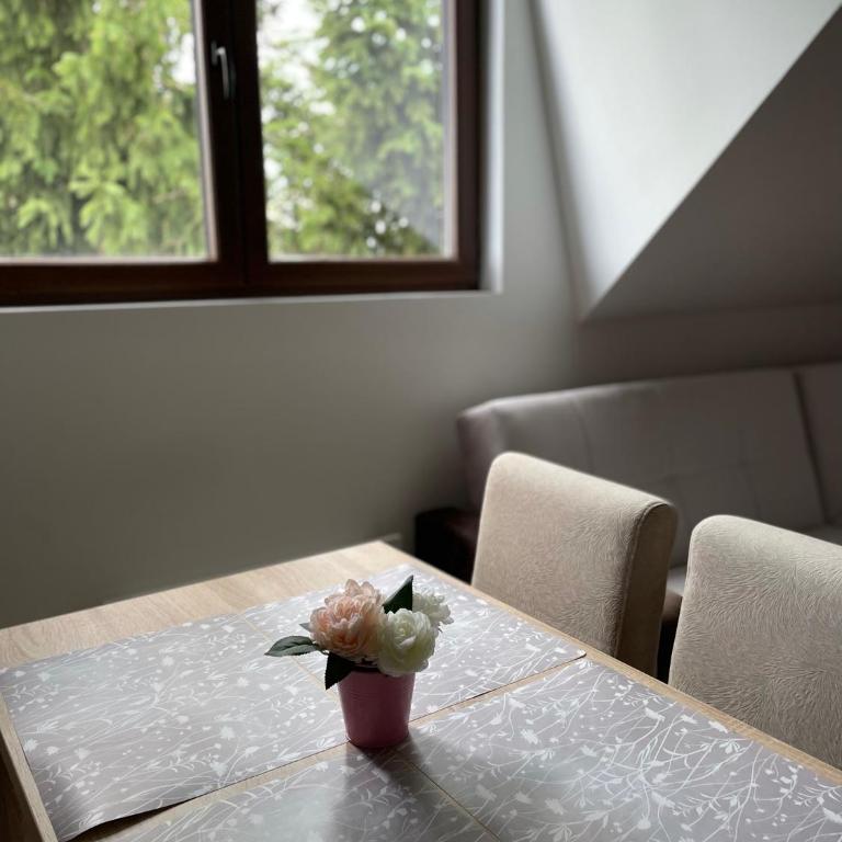 Kraljevi Konaci -Apartmani Bajka - Deluxe Studio - 7