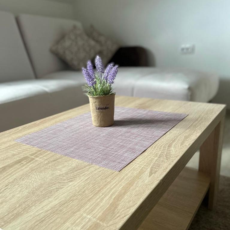 Kraljevi Konaci -Apartmani Bajka - Deluks Studio - 8