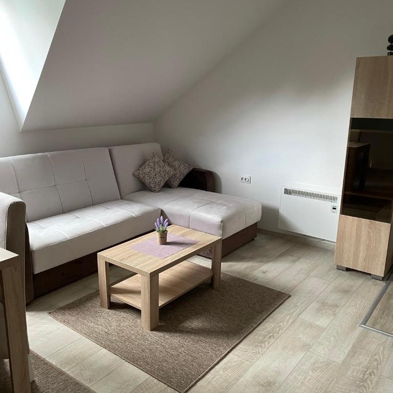 Kraljevi Konaci -Apartmani Bajka - Deluxe Studio - 9