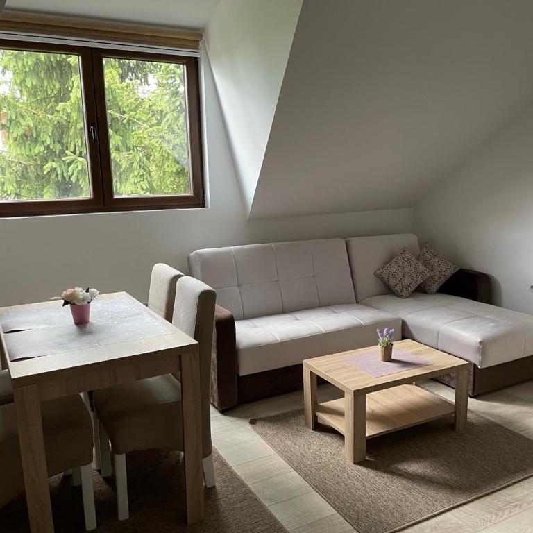 Kraljevi Konaci -Apartmani Bajka - Deluxe Studio - 10