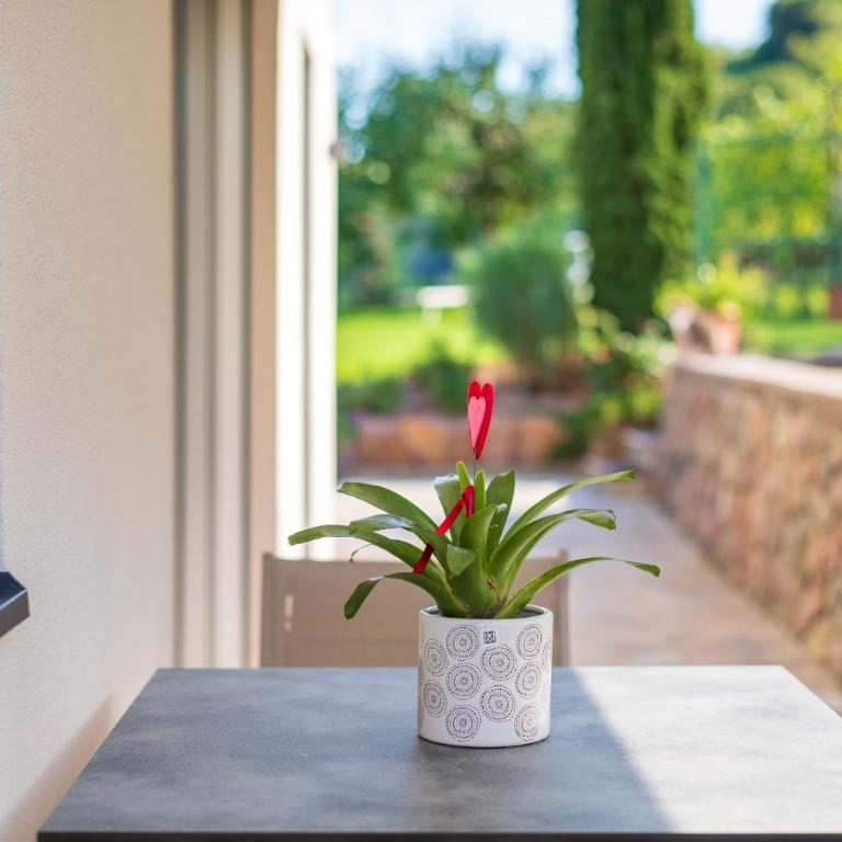 Haus Stolz - Appartamento con Vista Giardino - 26