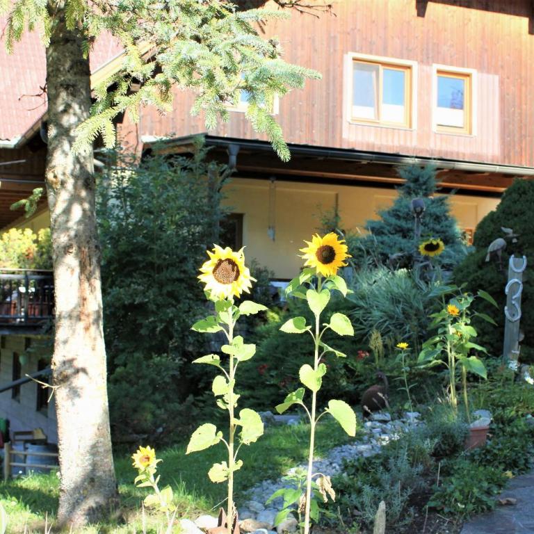 Schönes Apartment Prägant - Apartment mit 3 Schlafzimmern - 21