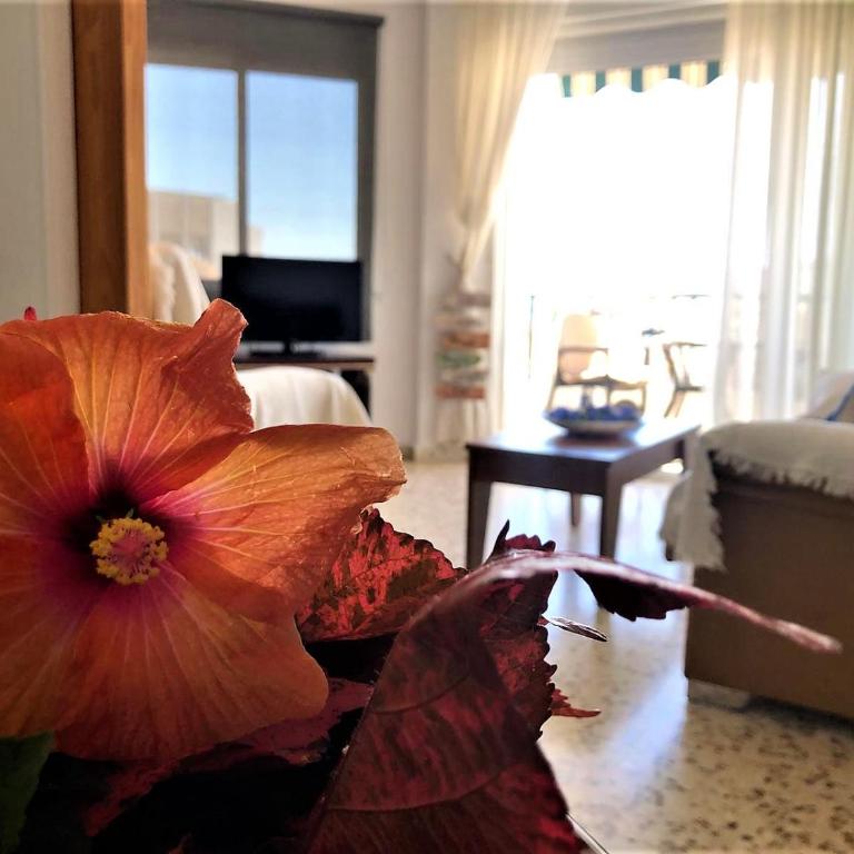 Salute to the Sea - Apartamento de 2 dormitorios - 19