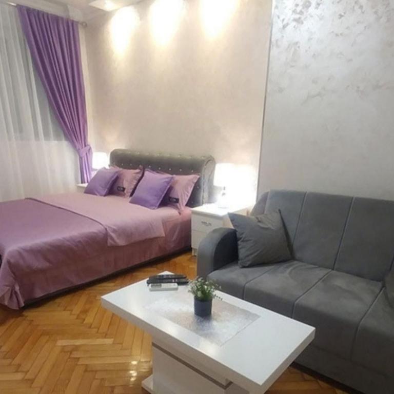 Elena Lux - Apartman sa 2 Spavaće Sobe - 20