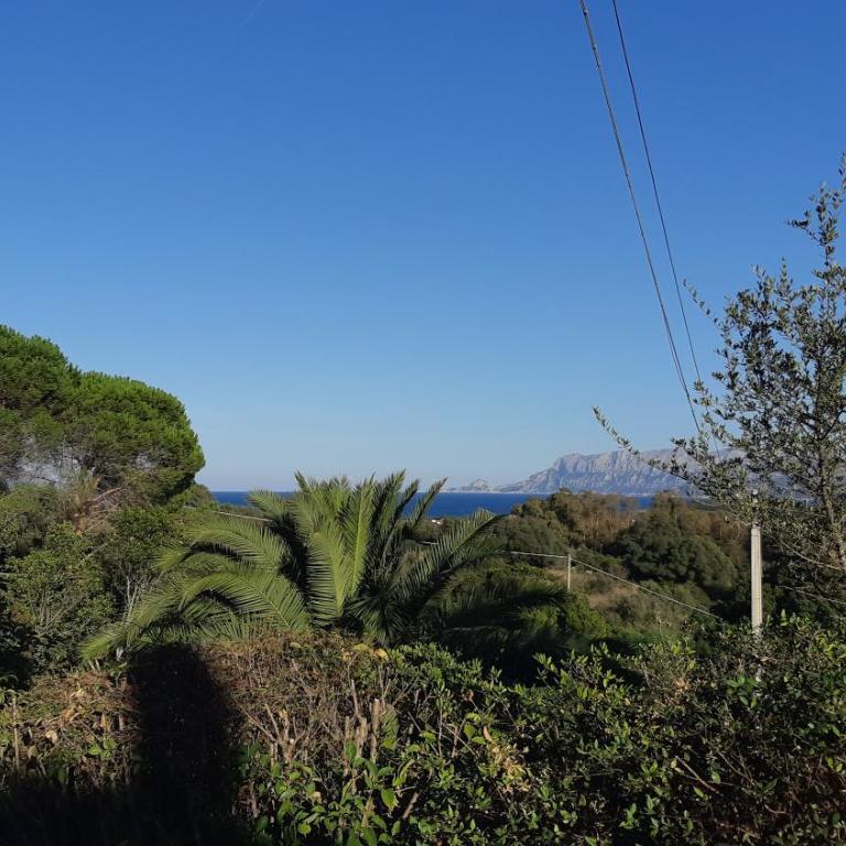 la casa di Giù - Appartamento con 2 Camere da Letto - 11