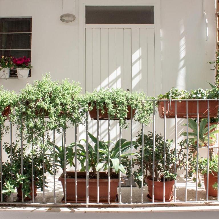 Casa Putignani - Appartamento Monolocale - 2