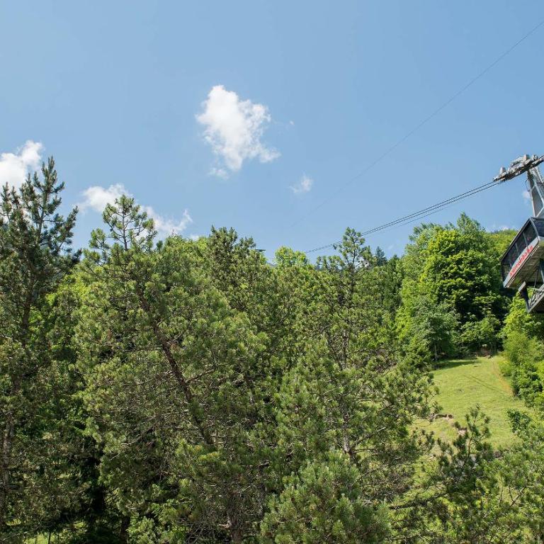 Hotel Silberhorn - Standard - 12