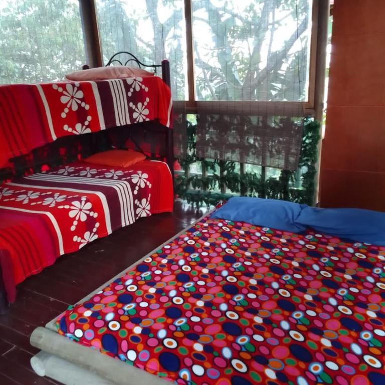 Miradores Del Oso Perezoso - Bungalow con vistas al jardín - 3