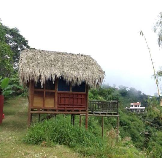 Miradores Del Oso Perezoso - Bungalow - 2