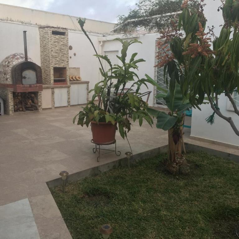 Casa Bella - One-Bedroom Apartment - 23